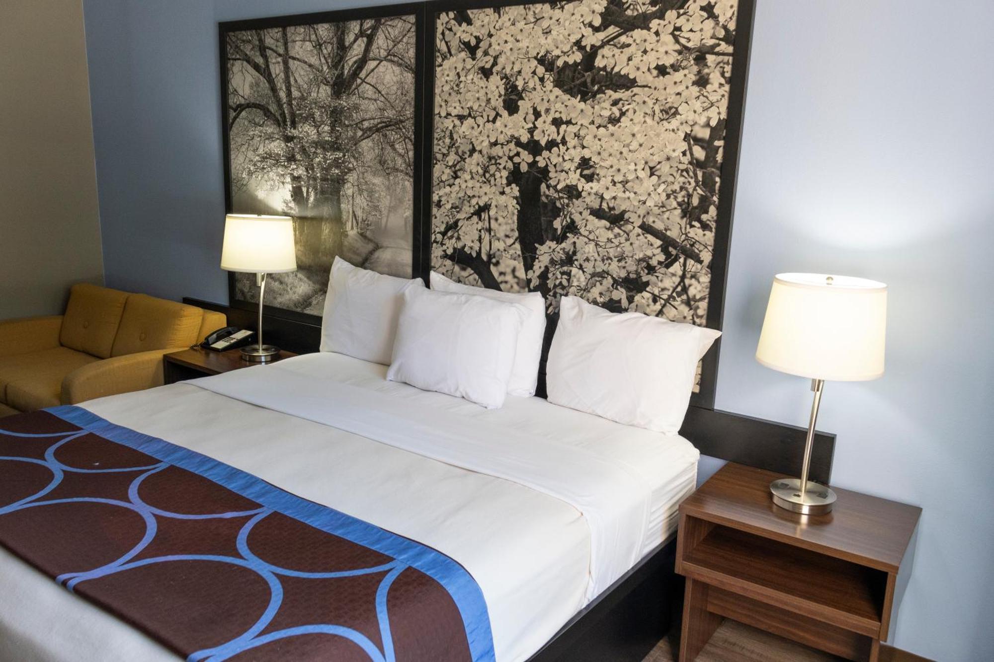 Super 8 By Wyndham Smithfield-selma Hotel Smithfield